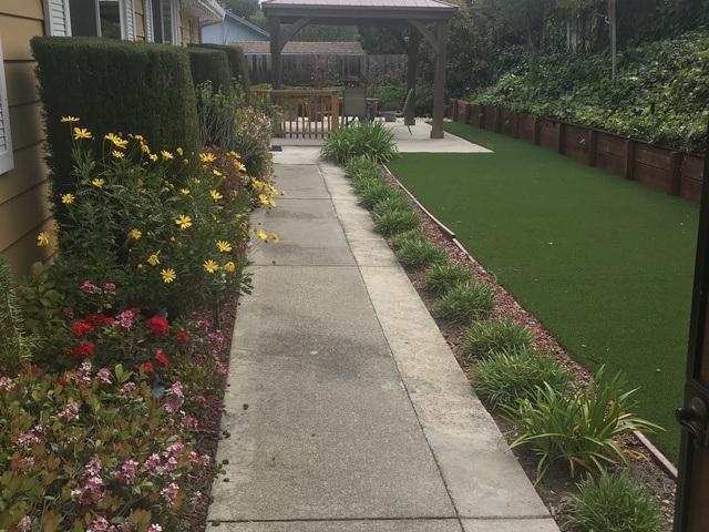 CORDIAL CARE HOME Image in PLEASANT HILL, CA