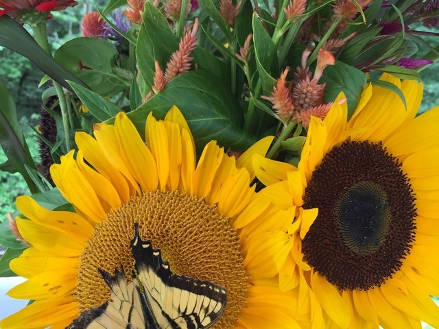 CRABAPPLE HALL Image in ALPHARETTA, GA