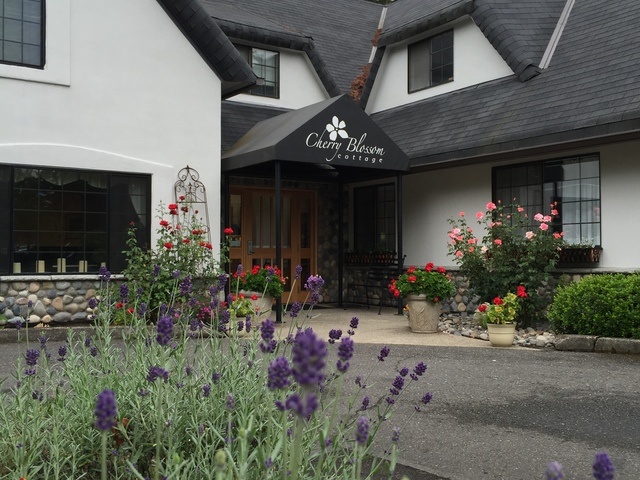 Cherry Blossom Cottage Image in Portland, OR