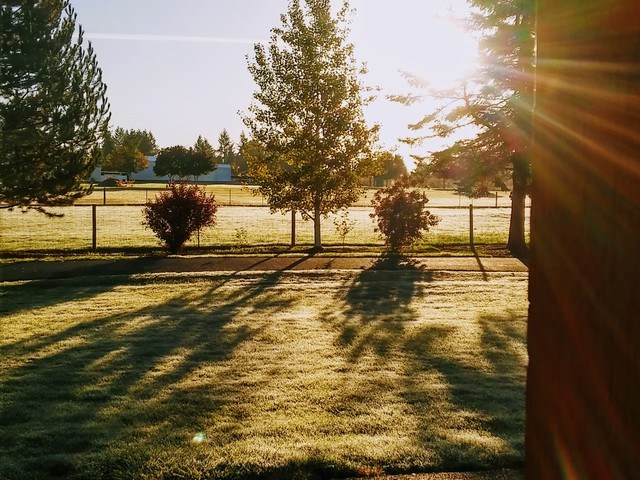 Sheri Lenhardt Image in Damascus, OR