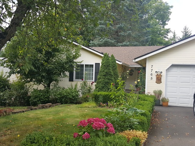 Lili Negreanu Image in Portland, OR