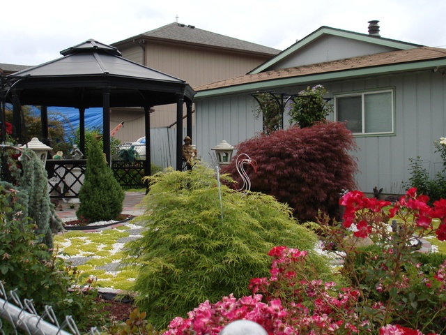 COMFORT AFH Image in Spokane, WA