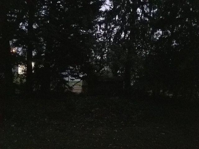 FRITZ CARE SERVICE Image in KENT, WA