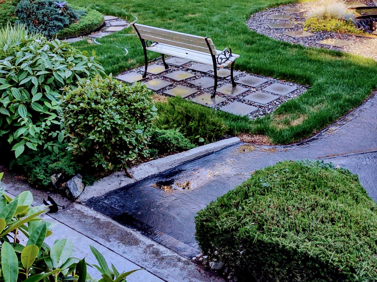 Bella Serene Care Adult Family Home Image in LYNNWOOD, WA