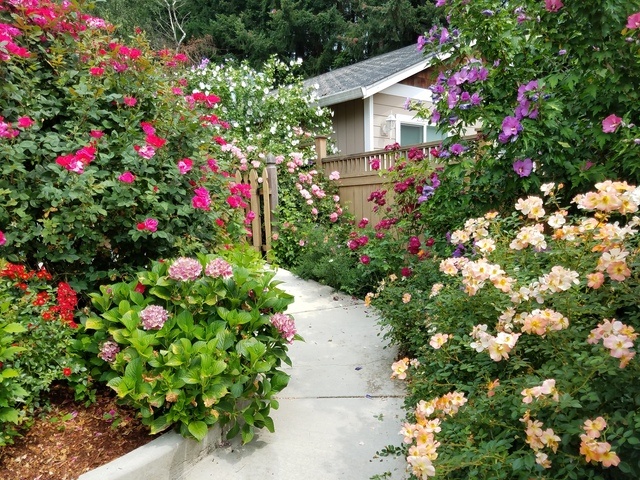 Lockehaven Adult Family Home Image in Vancouver, WA