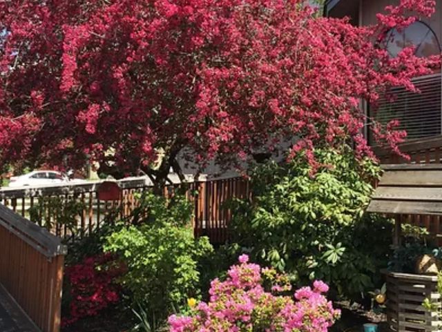 Pioneer House Senior Care Assisted Living Home Image in Puyallup, WA