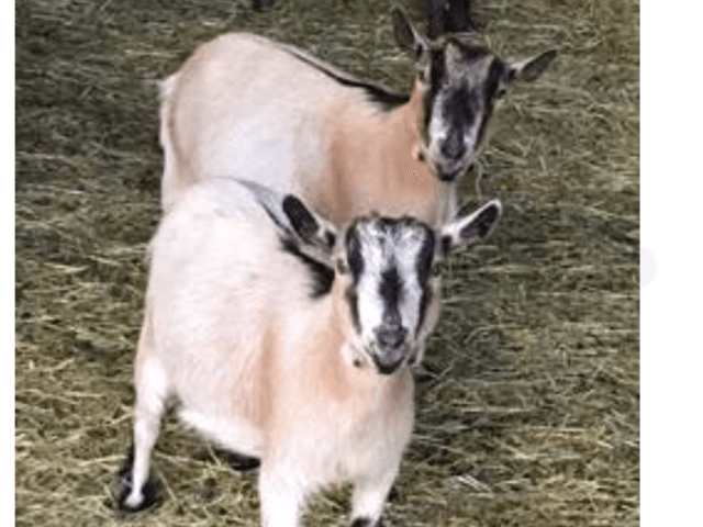 Dayspring Memory Care LLC Image in Vancouver, WA