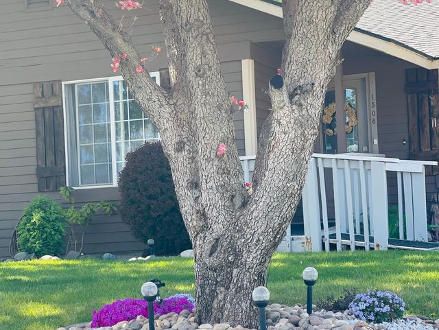 Gentle Hands Home Care LLC Assisted Living Home Image in Kennewick, WA