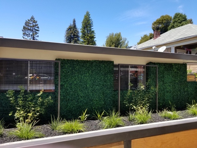 KYAKAMEENA CARE CENTER Image in BERKELEY, CA