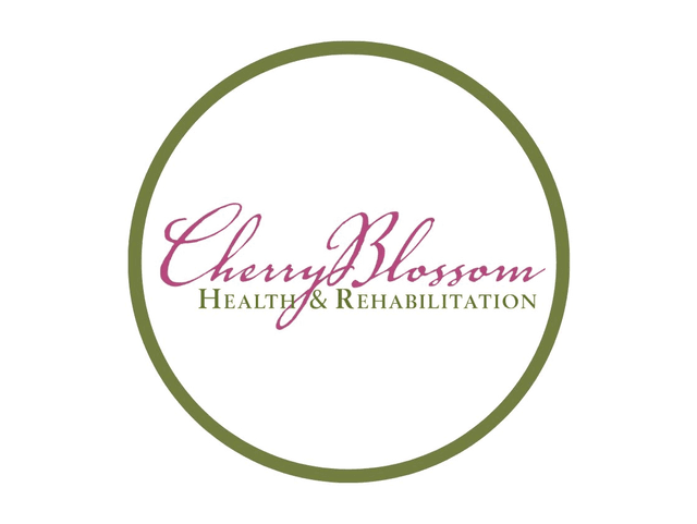 CHERRY BLOSSOM HEALTH AND REHABILITATION skilled nursing facility in MACON, GA