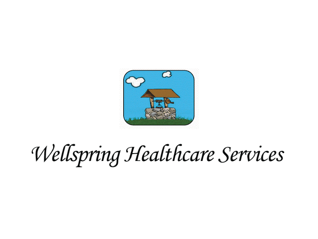 WELLSPRING HEALTHCARE SERVICES Image in WOODRIDGE, IL