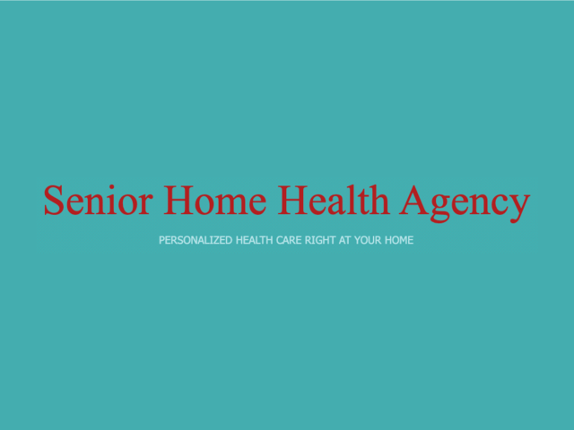 SENIOR HOME HEALTH AGENCY Image in MORTON GROVE, IL