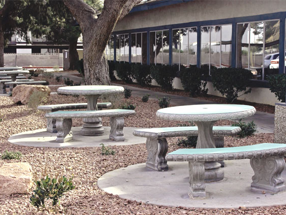 NORTH LAS VEGAS CARE CENTER skilled nursing facility in NORTH LAS VEGAS, NV