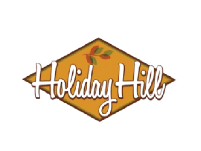 HOLIDAY HILL INC skilled nursing facility in COLEMAN, TX