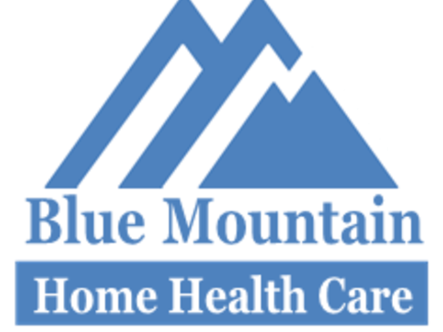 BLUE MOUNTAIN HOME HEALTH CARE, INC. Image in HARRISBURG, PA
