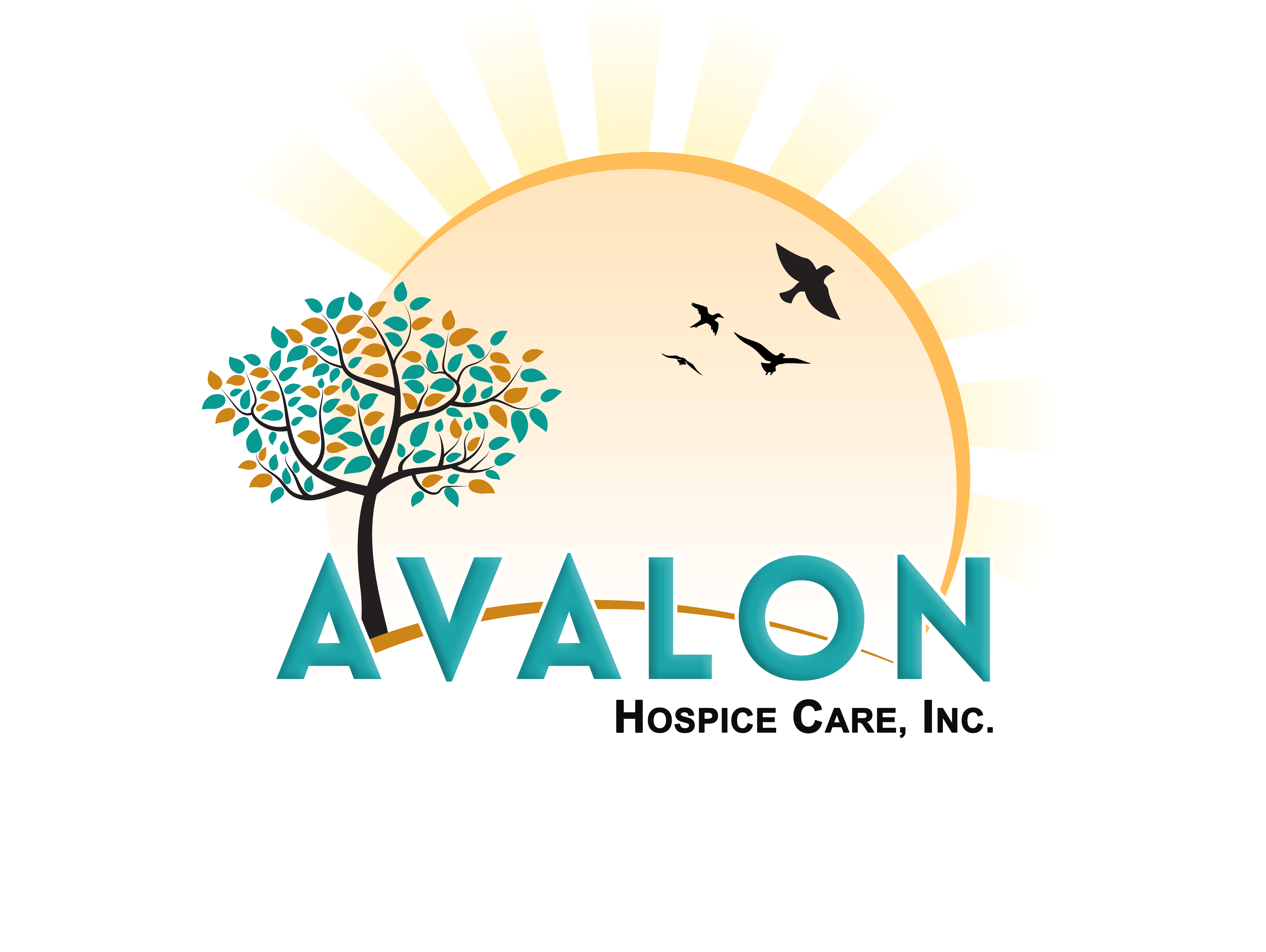 AVALON HOSPICE CARE INC Image in Chatsworth, CA