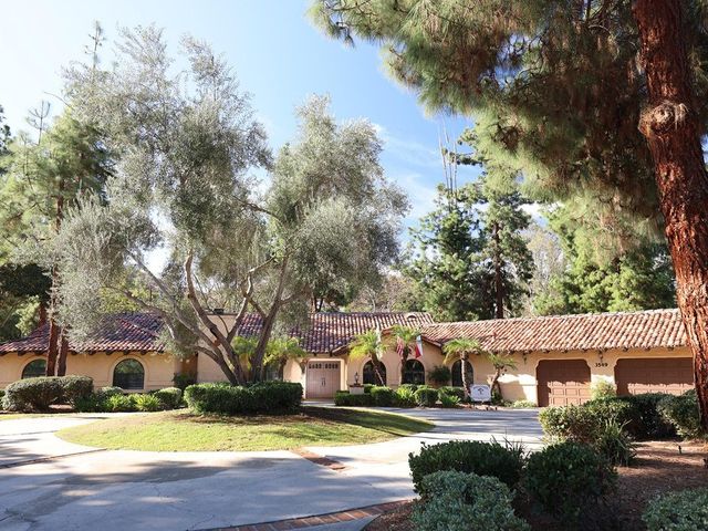 Coral Tree Care Image in Vista, CA