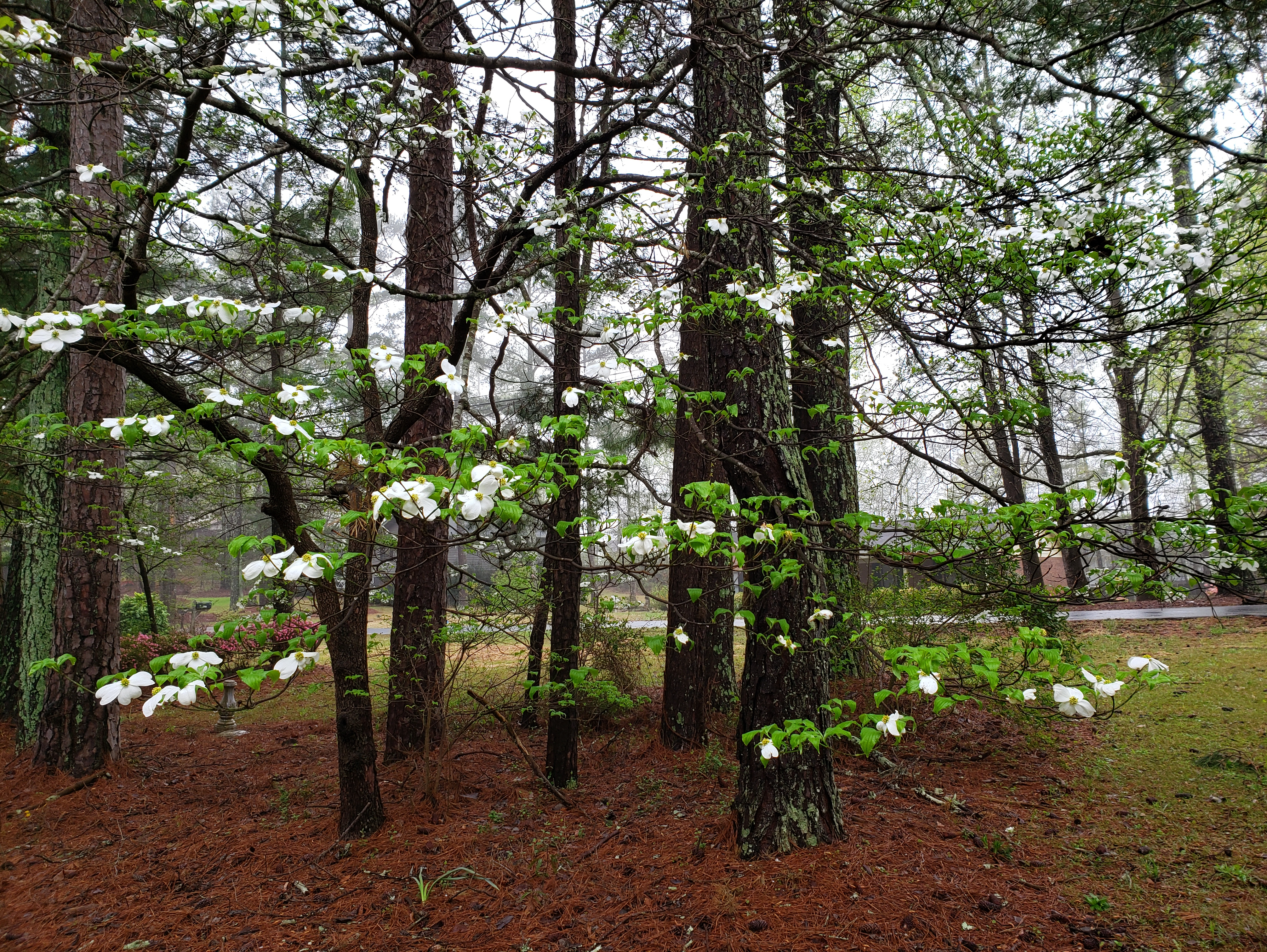 Serene House of Care Image in Riverdale, GA