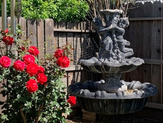 Dignity Point Senior Home Care Image in Modesto, CA