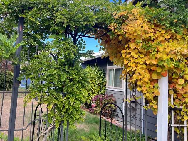 Kent Adult Family Home Care LLC Image in Kent, WA