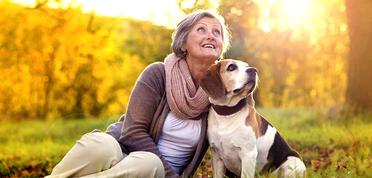 Seniors And Pets