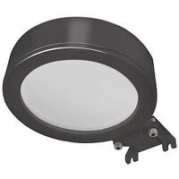 ETI 53301111 Éclairage de zone, 120 VCA, 40 W, ampoule DEL, 3 500 lumens, température de couleur de 3 000, 4 000, 5 000 K, faisceau de 84°