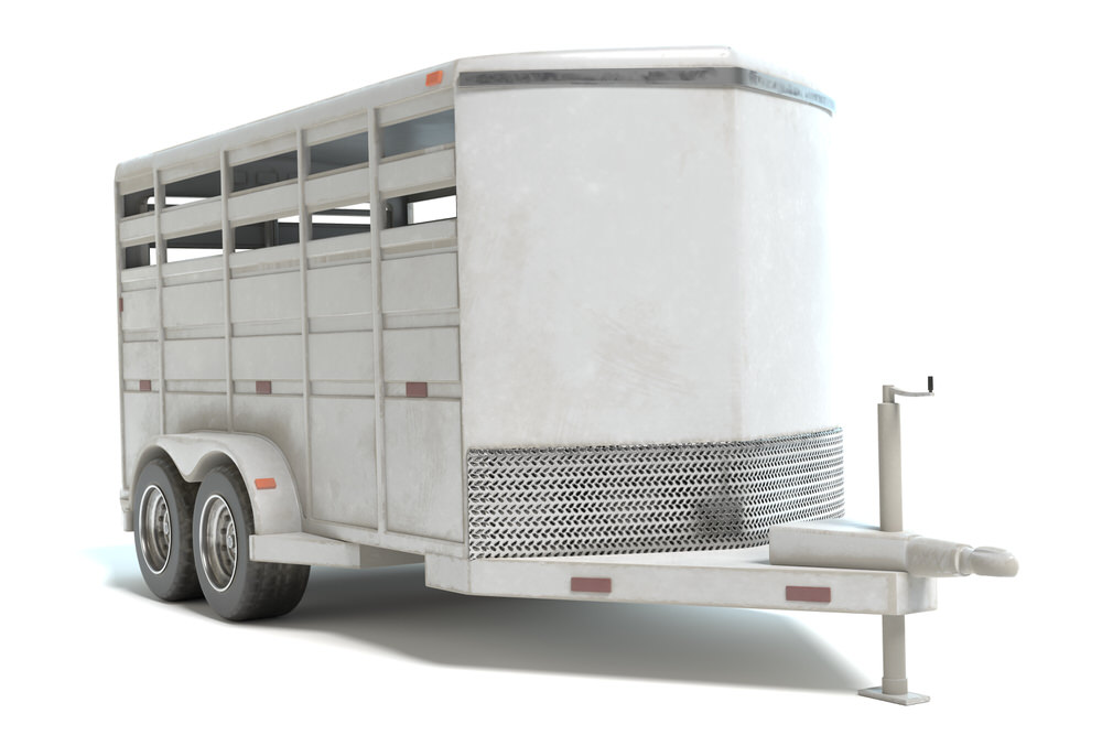 Livestock Equipement & Accessories