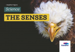 Standfor Projects - The senses - Level 1