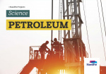Standfor Projects - Petroleum - Level 3