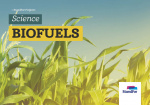 Standfor Projects - Biofuels - Level 3