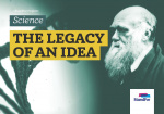 Standfor Projects - The legacy of an idea - Level 4