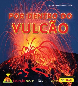 https://s3-us-west-2.amazonaws.com/catalogo.ftd.com.br/files/uploads/18400015_resized_600x664.jpg