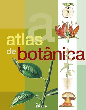 https://s3-us-west-2.amazonaws.com/catalogo.ftd.com.br/files/uploads/19001101_resized_600x800.jpg