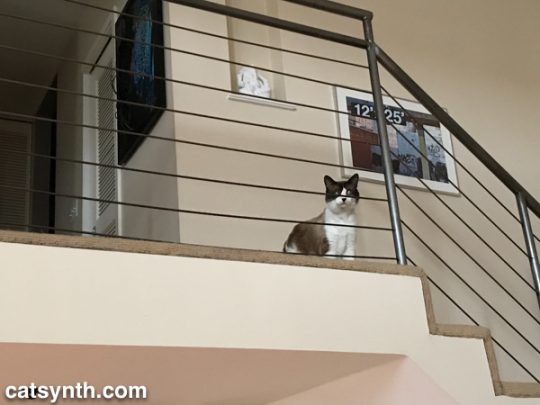 Big Merp on the balcony