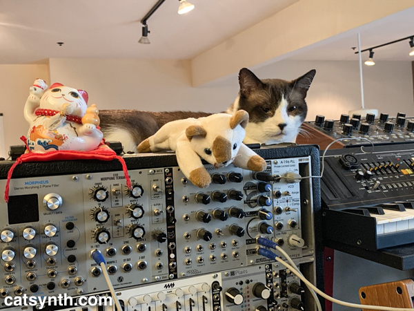Big Merp with the modular