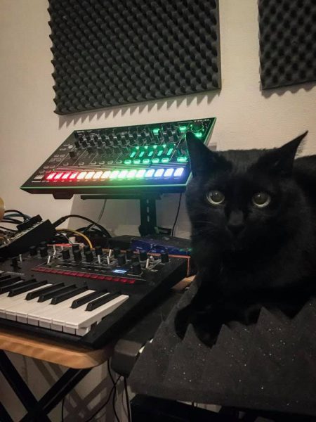 Black cat with Roland TR-8 and Korg Monologue