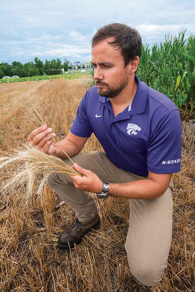 Kansas State’s Romulo Lollato is working with a team of researchers to fine-tune the situations where intensive wheat management can be profitable.