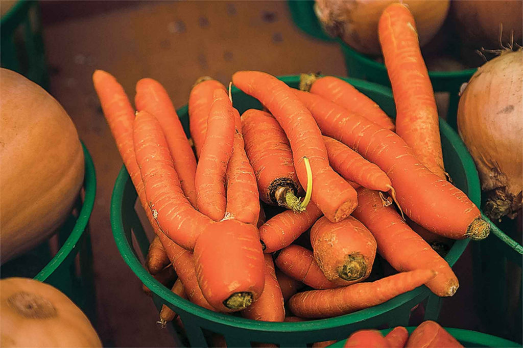 Grocery chains across Europe, Canada and the United States have responded to consumer’s concern over food waste by adding their own lines of off-grade produce.