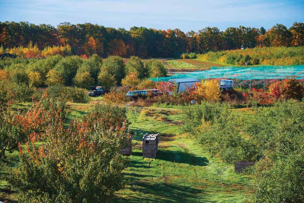 Diversified farms offer year-round gleaning opportunities.