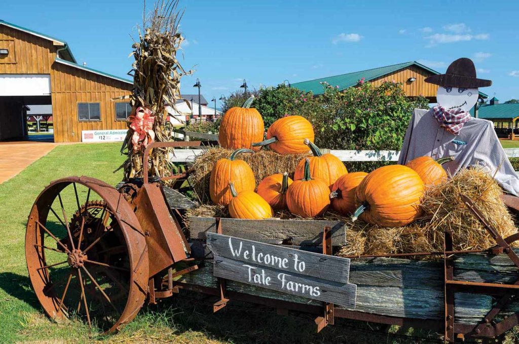A pumpkin-filled welcome wagon greets visitors to the farm.