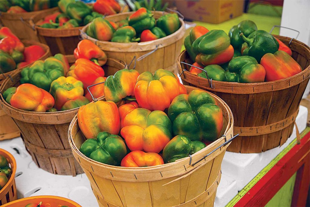 “Our customers recognize that they get the same flavour and nutritional benefits in spite of appearances."
