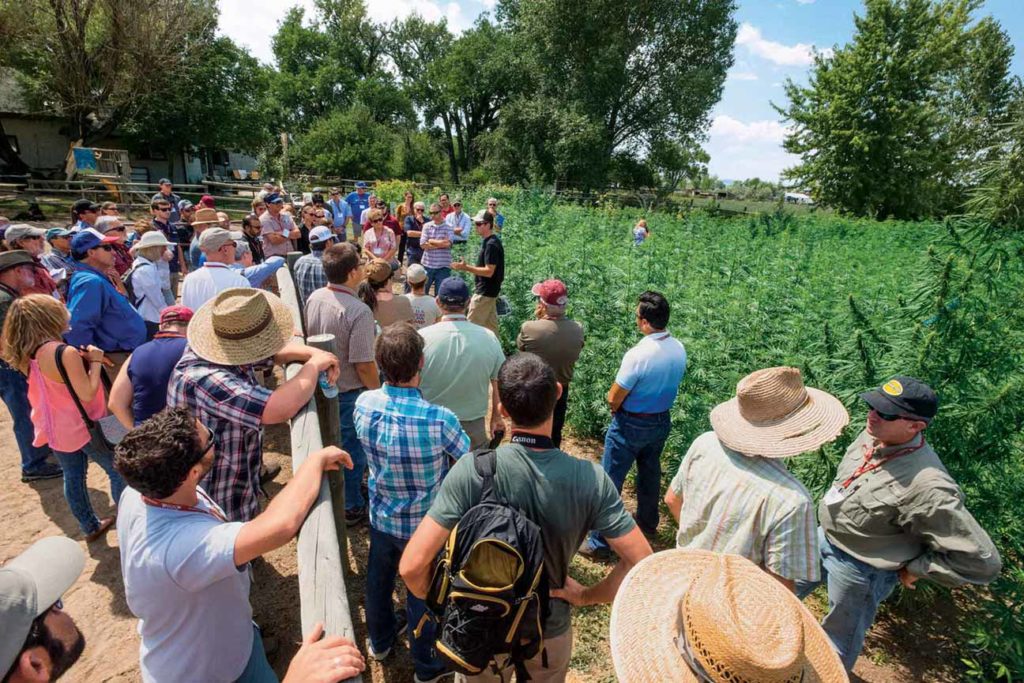 Researchers from dozens of universities listen to Colorado State’s John McKay discuss variety development during a recent tour.