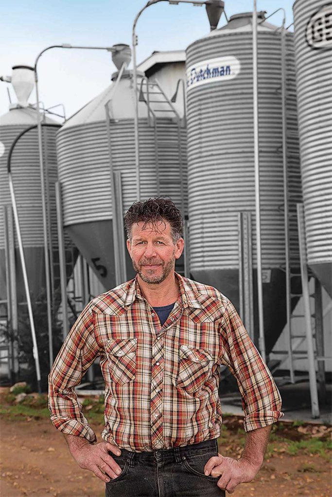 van Wijk says it now just takes one person to move the sows to the farrowing room.