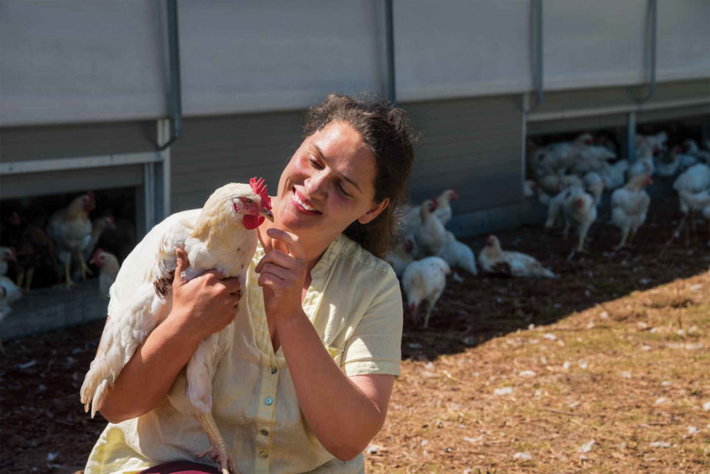 Christine Bremer checks in with a Bruderhahn, or “brother cockerel.” She and her partners created a market for dark cockerel meat.