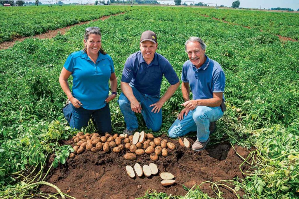 Simplot’s Jolyn Rasmussen and Brit White check an Innate plot with farmer Duane Grant.
