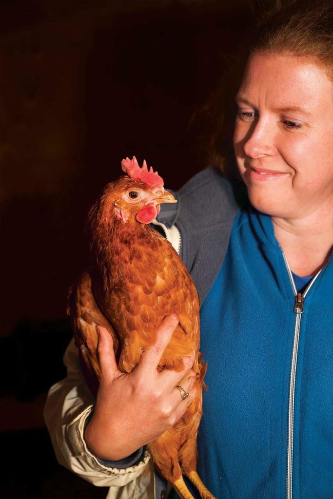 À l’approche de l’Halloween, Homestead Kate récupère les poules louées et les ramène à la ferme pour les mois d’hiver.
