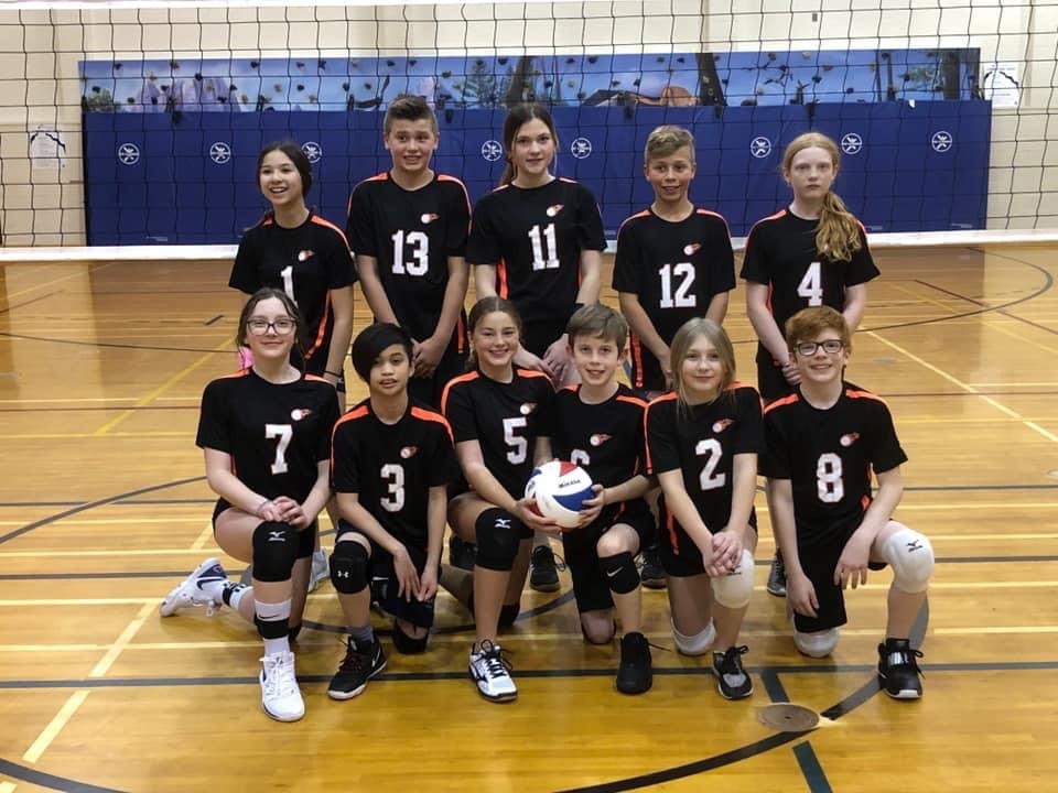 Fairview force volleyball teamlinkt