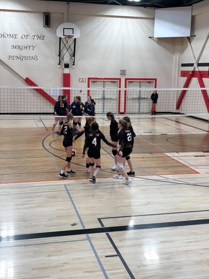 Fairview force volleyball teamlinkt