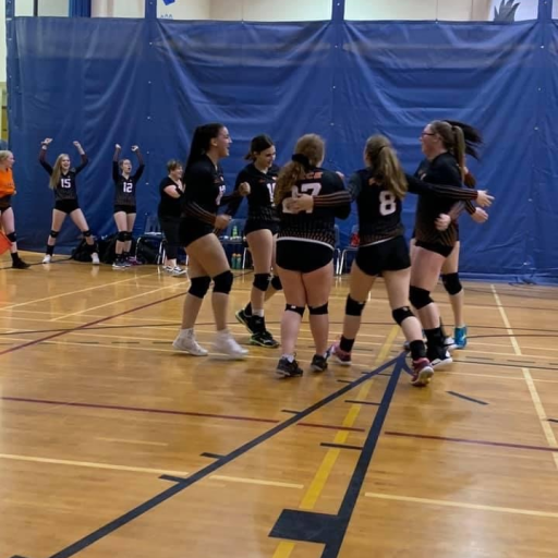 Fairview force volleyball powered by teamlinkt
