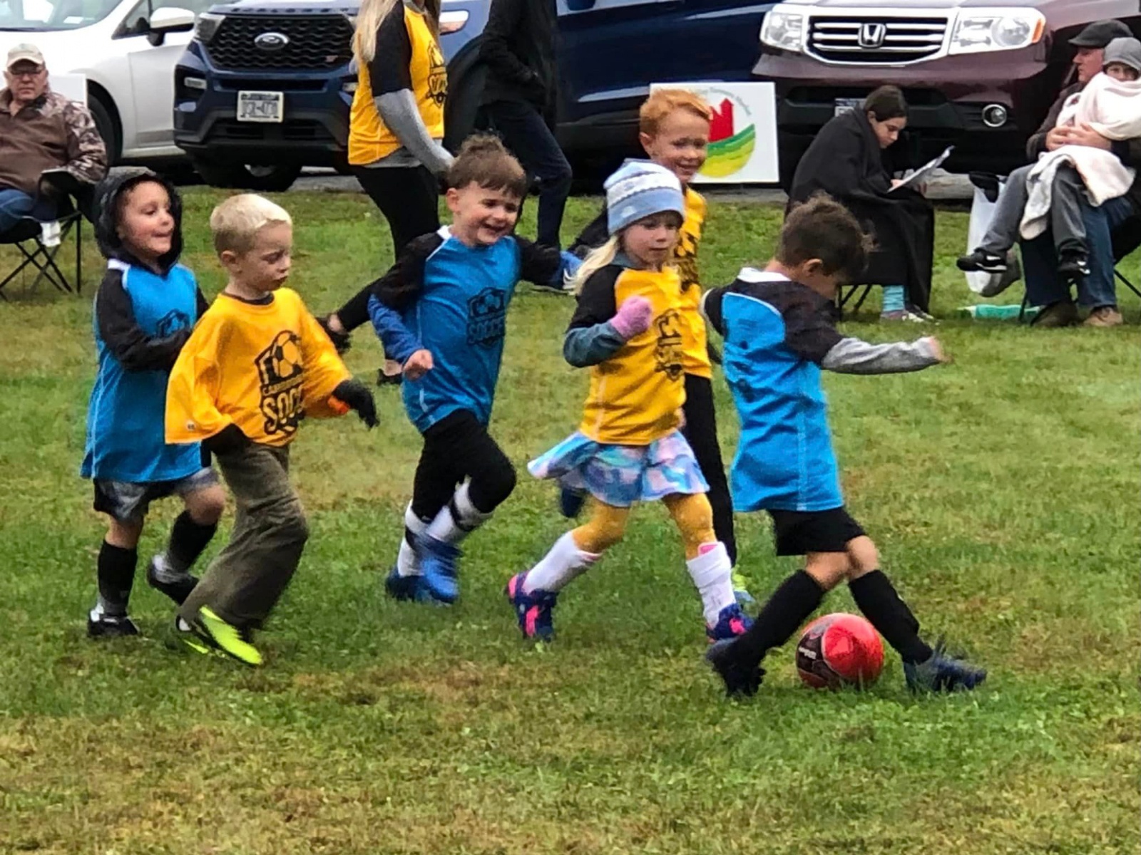 Cambridge Youth Sports Powered by TeamLinkt